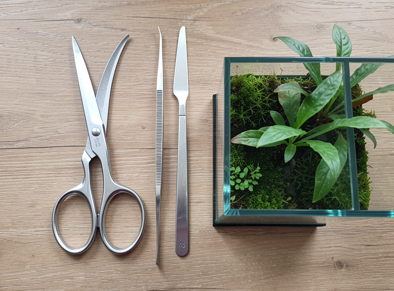 Aquascaping tool set with curved scissors tweezers and substrate spatula beside a nano tank