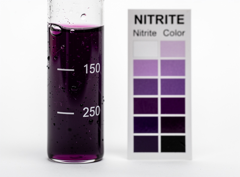 An aquarium nitrite test vial showing a deep purple high reading during the cycling nitrite spike