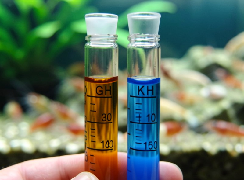 GH and KH titration test tubes showing amber and blue results in front of a shrimp tank
