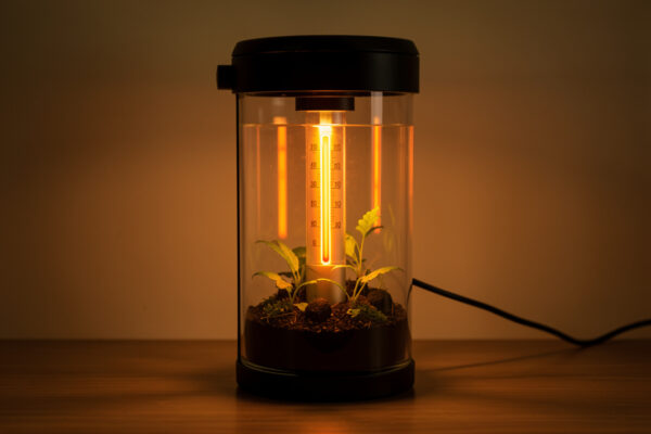 Aquarium Heater Stuck On: Catch It Before It Cooks the Tank