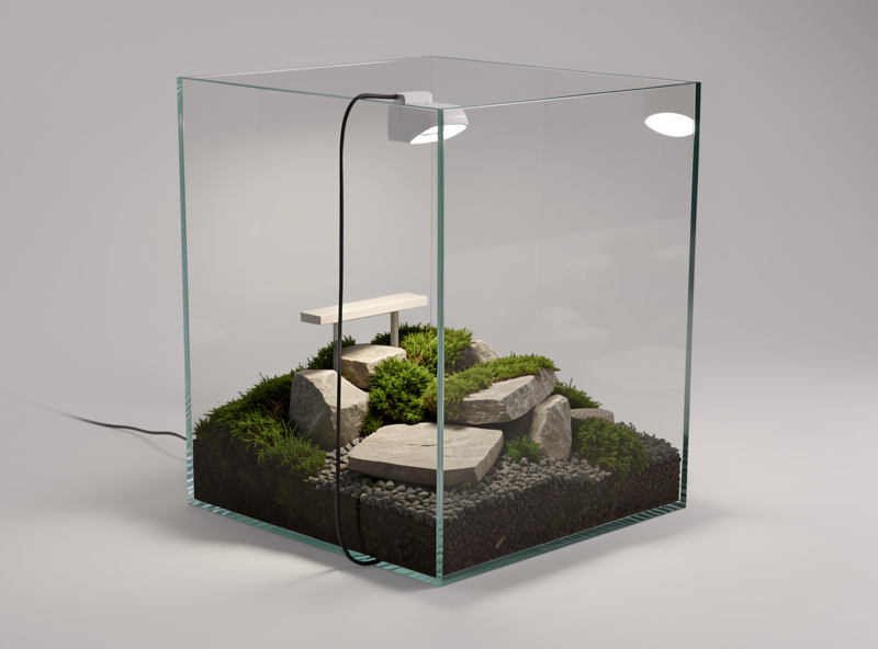 A 5 gallon rimless glass cube with a stone-and-moss hardscape lit by a small clip-on LED