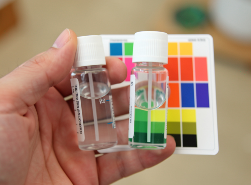 Chlorine test comparing two vials of water against a color chart card