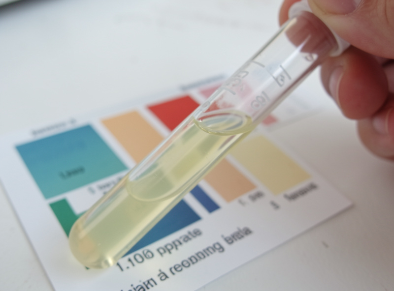 Aquarium nitrate test tube showing a very pale low result held against a color reference card